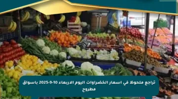 تراجع ملحوظ في أسعار الخضراوات اليوم الأربعاء 10-9-2025 بأسواق مطروح